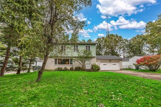 95 Keewaydin Dr, Eastlake, OH 44095
