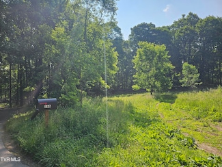 166 Dyer Rd, Roan Mountain, TN 37687