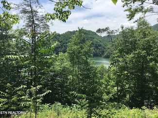 Lot 880 Fellowship Ln, New Tazewell, TN 37825