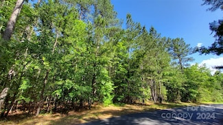 000 Loblolly Ln Unit 22, Mill Spring, NC 28756