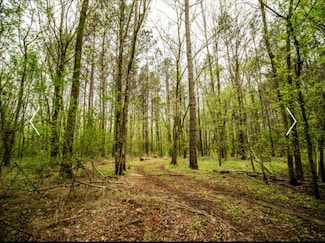 225 Lee Rd, Ludlow, MS 39094