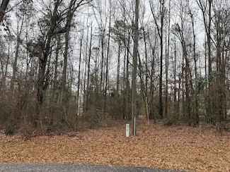 0 Pine Ridge Dr, Troy, AL 36081