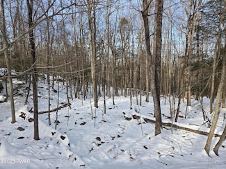 118 Pioneer Dr, Masthope, PA 18435