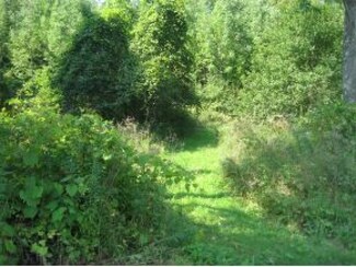0 Little Village Road 5 Unit 4378941, Danby, VT 05739