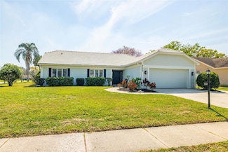 9209 Pebble Creek Dr, Tampa, FL 33647