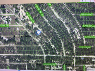 510 Blue Skies Dr, Lake Placid, FL 33852