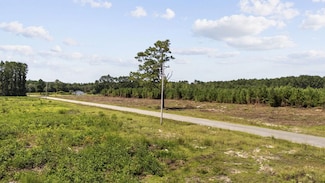 Lot B2 Black Creek Rd, Nichols, SC 29581