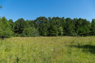 V L Plantation Rd, Warner Robins, GA 31093
