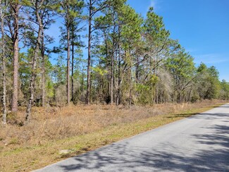 0000 SE 131 Terrace, Dunnellon, FL 34431