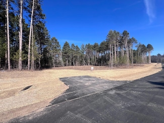3181 317th Ave, Bradford Township, MN 55008
