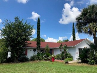 36411 Par Ct, Grand Island, FL 32735