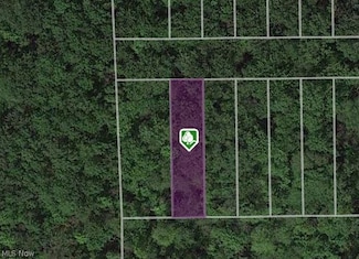 V/L Magnolia #12 Dr, Madison, OH 44057
