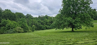 1 Holt Dr, Loudon, TN 37774