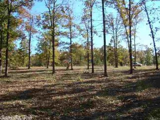 296 Garner Bradford Ln, Shirley, AR 72153