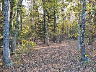 Tract 3 State Highway 174, Marionville, MO 65705