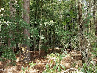 Lot 29 Beach Dr, Westville, FL 32464