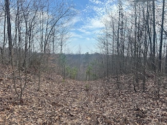 0 Left Fork Cains Creek Rd, Blaine, KY 41124