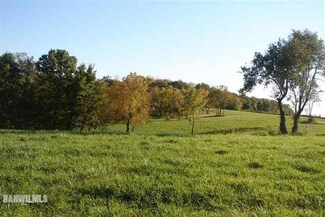 TBD 10.376 Elizabeth Scales Mound Rd, Scales Mound, IL 61038