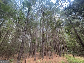 TRACT 3 Sheppard Rd, Franklin, GA 30217