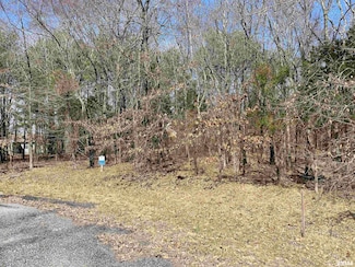 0 Buckeye Hill Ln Unit RMAQC4260538, Goreville, IL 62939