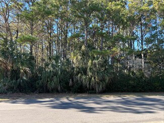 Lot 17 Dune Oaks Dr, Georgetown, SC 29440