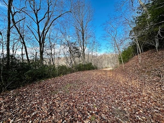 Lot 47 Nickajack Rd, Franklin, NC 28734