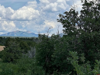 TBD De Oro Way, Hesperus, CO 81326