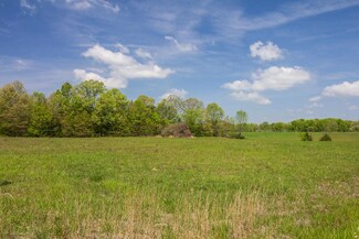 0 Connie Ln Unit 10025988, Michie, TN 38357