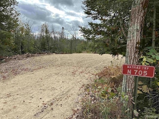 705 Winters Rd, Traunik, MI 49891