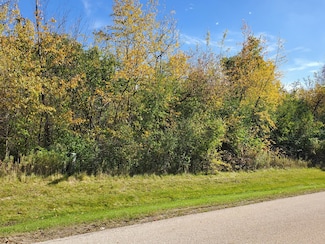 LOT 8 Orchard Bluff Ln, Wadsworth, IL 60083