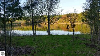 0 Rains Rd Unit 1842042, Ellsworth, MI 49729
