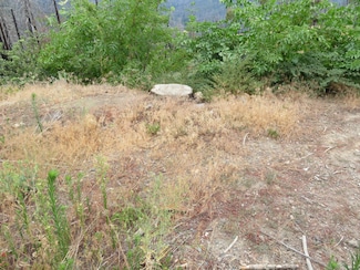 53009 Pine View Dr, Springville, CA 93265