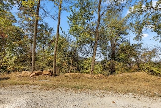 Lot 112 Peaceful Place, Harrison, AR 72601
