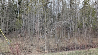 00 Charles Moran Rd, Brevort Township, MI 49760