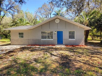 3849 Holly Ct, Mount Dora, FL 32757