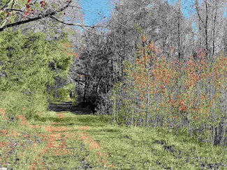 11315 Highway 56 N, Clinton, SC 29325