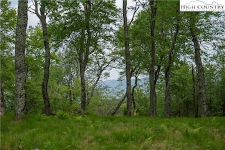 75 Green Cliffs Rd, Sugar Mountain, NC 28604