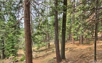 7488 Henness Cir, Yosemite National Park, CA 95389