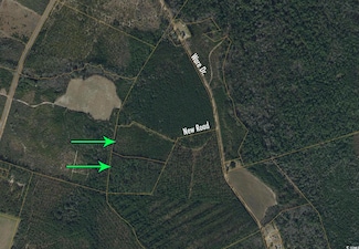 8862 Ware Dr, Nichols, SC 29581