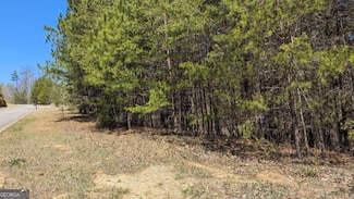 176 Windsor Way, Jasper, GA 30143