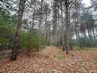 52+/-acres Happersett Ln, Redgranite, WI 54970