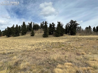 0 Abandoned Rail Rd Unit 7912556, Agate, CO 80440