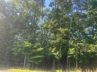 50,51 Presley Creek Dr, Heathsville, VA 22473