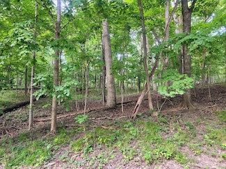 Lot 1806 Tanglewood Dr, Roberts Township, IL 61375