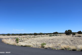 7673 Arroyo Plata Dr, Show Low, AZ 85901