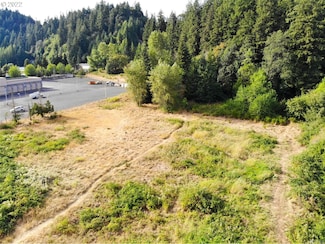 3700 Memorial Park Dr, Longview, WA 98632
