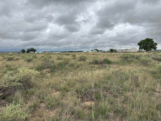 Lot 43 Valle Verde Ave, McIntosh, NM 87035