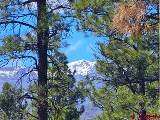 TRACT 1 Browns Lake Rd, Durango, CO 81303