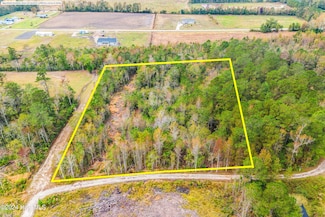 169 Lizzie's Dr, Bolton, NC 28423