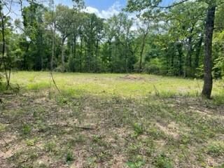 TBD 4 Farm To Market 1848, Buffalo, TX 75831